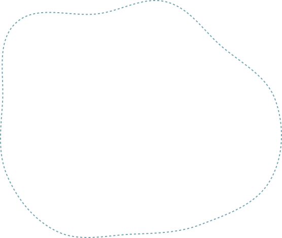 Home 17 border shape 1