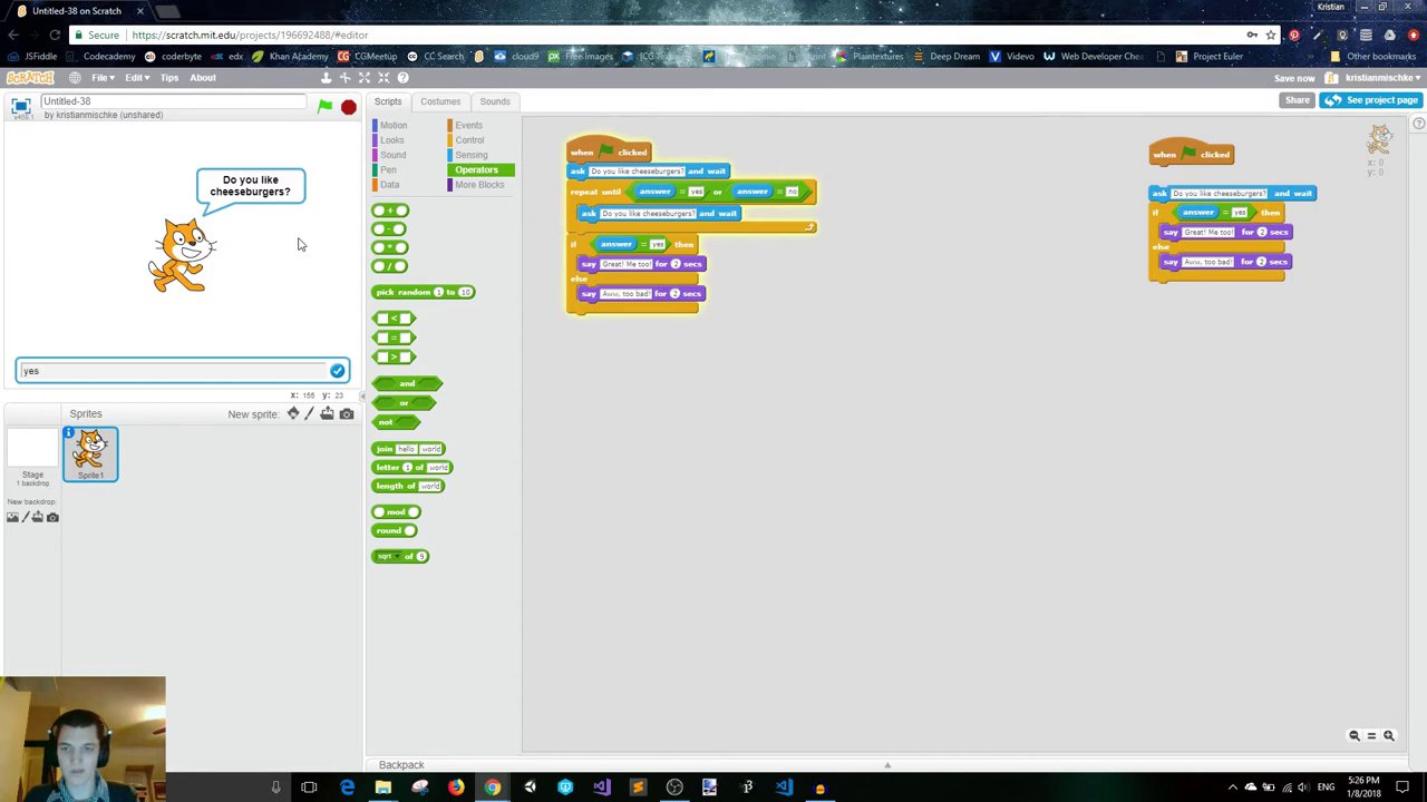 Chương trình chạy, người dùng nhập "yupper" và nhận được thông báo "Sorry, that is not a valid answer."